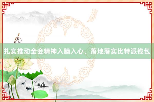 扎实推动全会精神入脑入心、落地落实比特派钱包