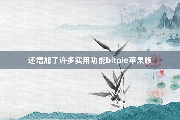 还增加了许多实用功能bitpie苹果版