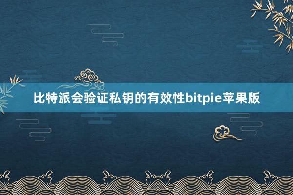 比特派会验证私钥的有效性bitpie苹果版