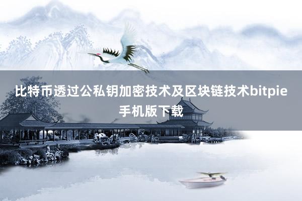 比特币透过公私钥加密技术及区块链技术bitpie手机版下载