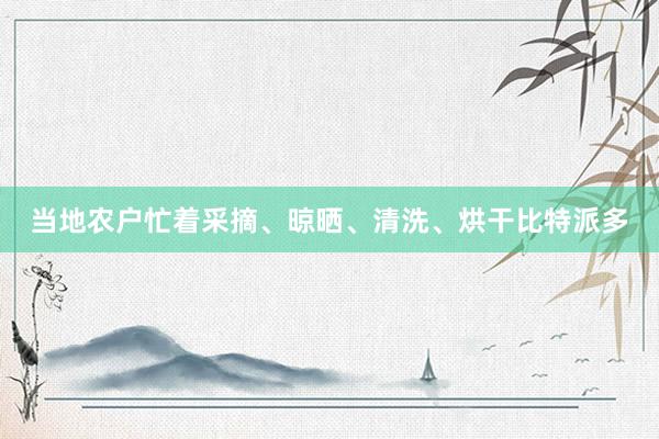 当地农户忙着采摘、晾晒、清洗、烘干比特派多