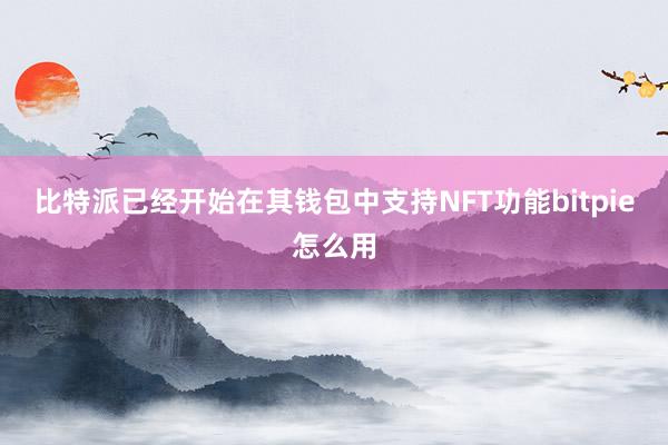 比特派已经开始在其钱包中支持NFT功能bitpie怎么用