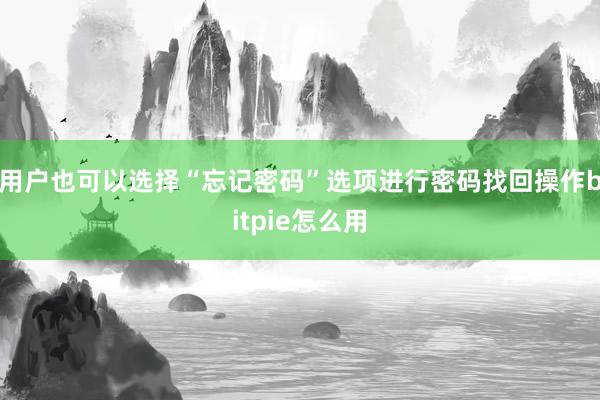 用户也可以选择“忘记密码”选项进行密码找回操作bitpie怎么用