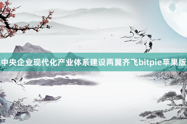 中央企业现代化产业体系建设两翼齐飞bitpie苹果版