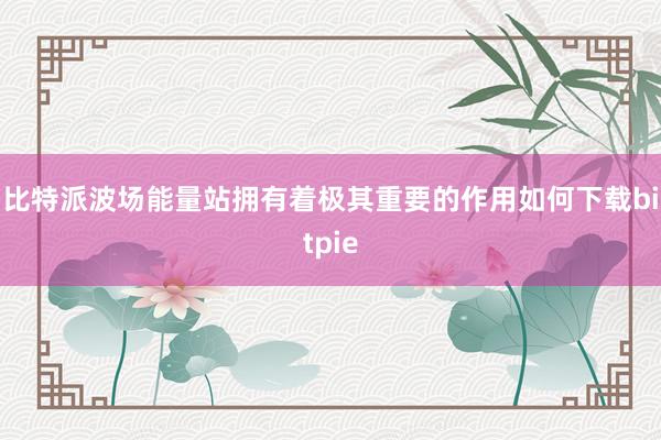 比特派波场能量站拥有着极其重要的作用如何下载bitpie