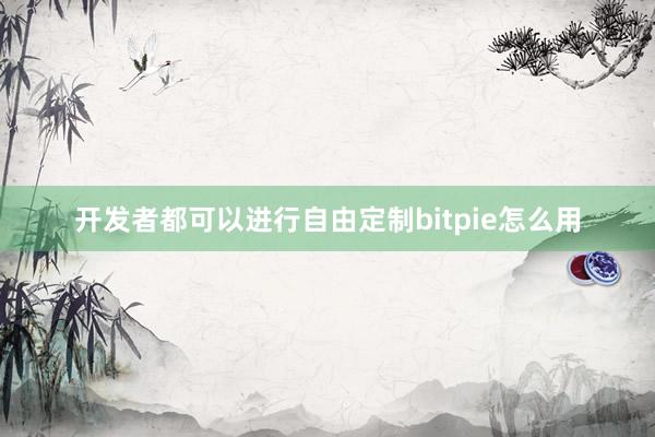 开发者都可以进行自由定制bitpie怎么用