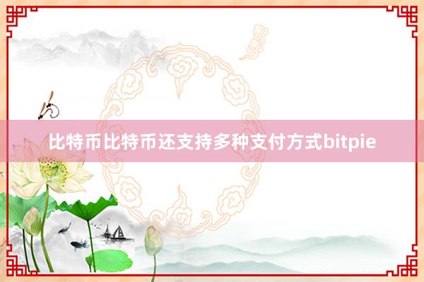 比特币比特币还支持多种支付方式bitpie