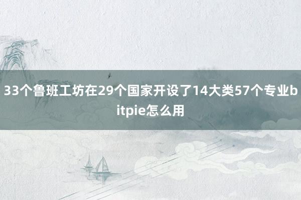 33个鲁班工坊在29个国家开设了14大类57个专业bitpie怎么用