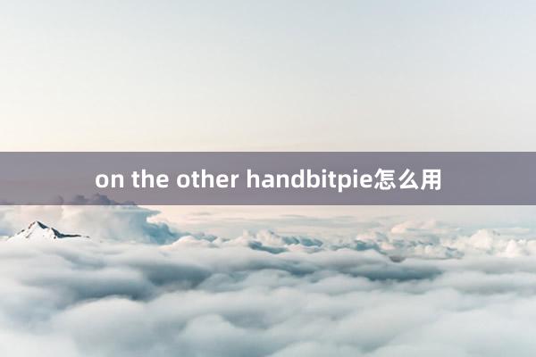 on the other handbitpie怎么用