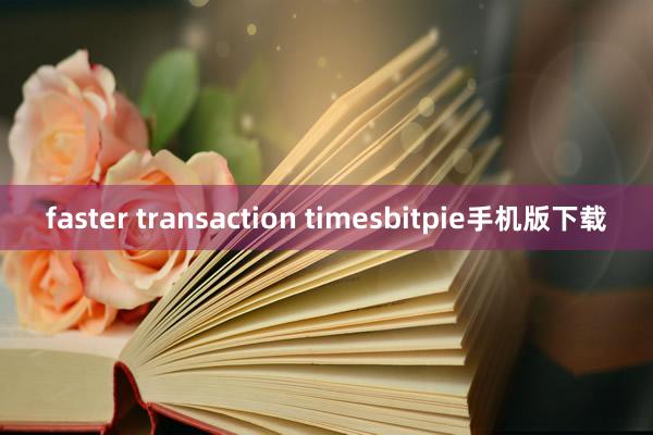 faster transaction timesbitpie手机版下载