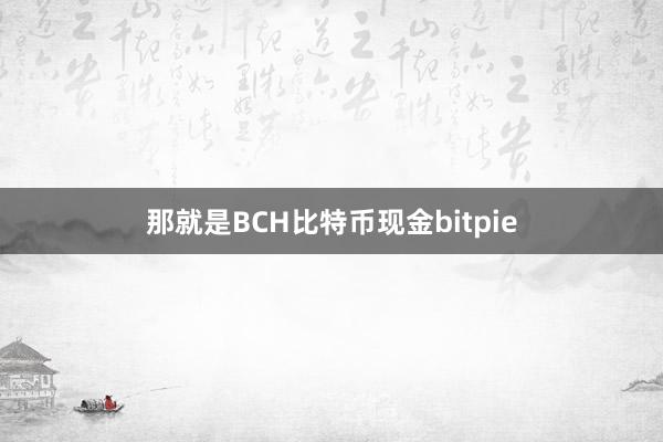 那就是BCH比特币现金bitpie