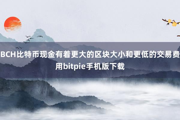 BCH比特币现金有着更大的区块大小和更低的交易费用bitpie手机版下载