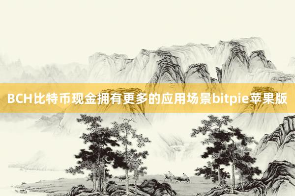 BCH比特币现金拥有更多的应用场景bitpie苹果版