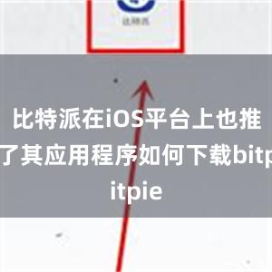 比特派在iOS平台上也推出了其应用程序如何下载bitpie