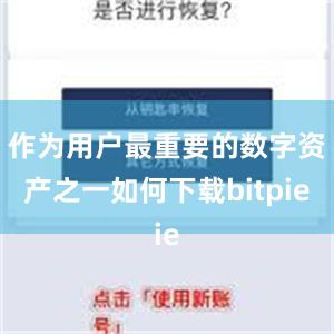 作为用户最重要的数字资产之一如何下载bitpie