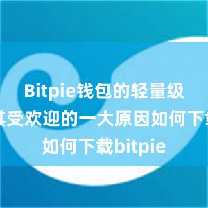 Bitpie钱包的轻量级下载是其受欢迎的一大原因如何下载bitpie