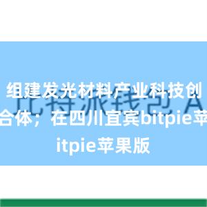 组建发光材料产业科技创新联合体；在四川宜宾bitpie苹果版