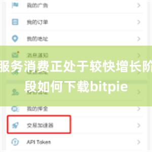 服务消费正处于较快增长阶段如何下载bitpie